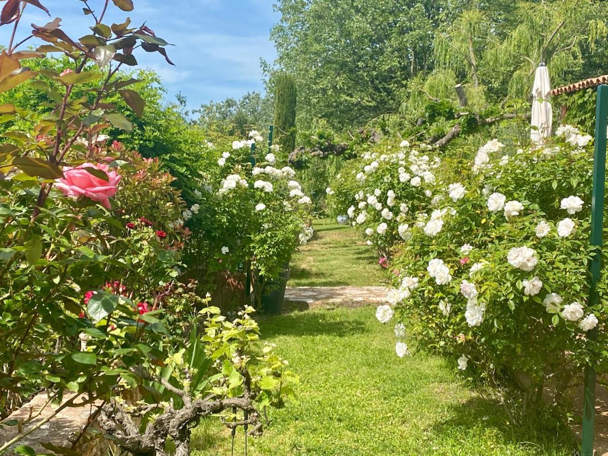 Villa Des Roses Roussillon en Isere Exteriör bild
