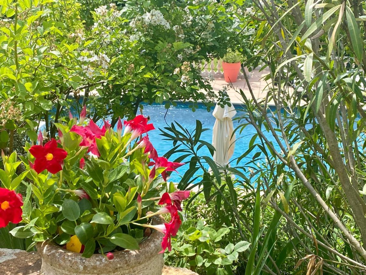 Villa Des Roses Roussillon en Isere Exteriör bild