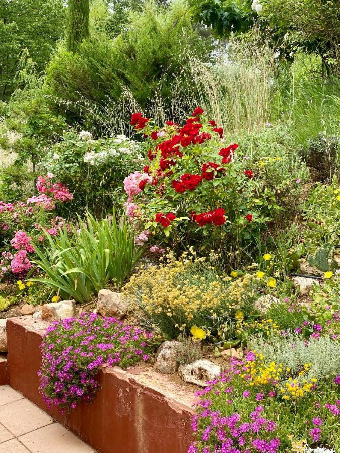 Villa Des Roses Roussillon en Isere Exteriör bild