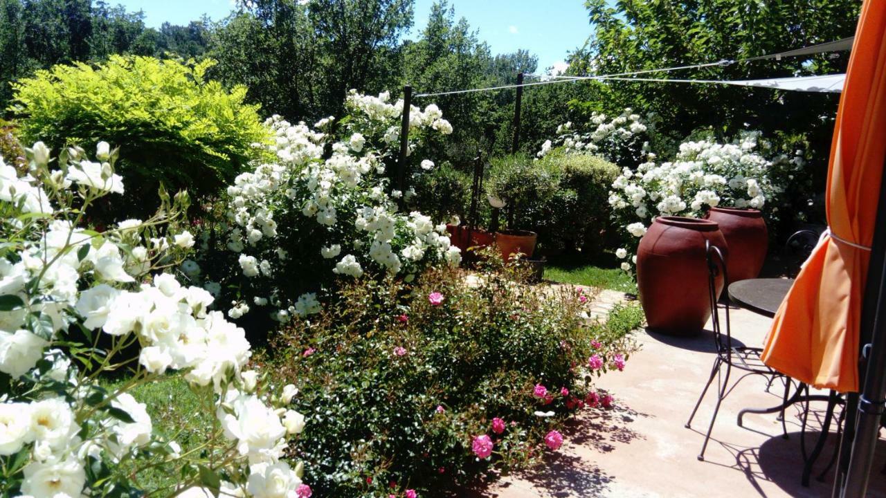 Villa Des Roses Roussillon en Isere Exteriör bild